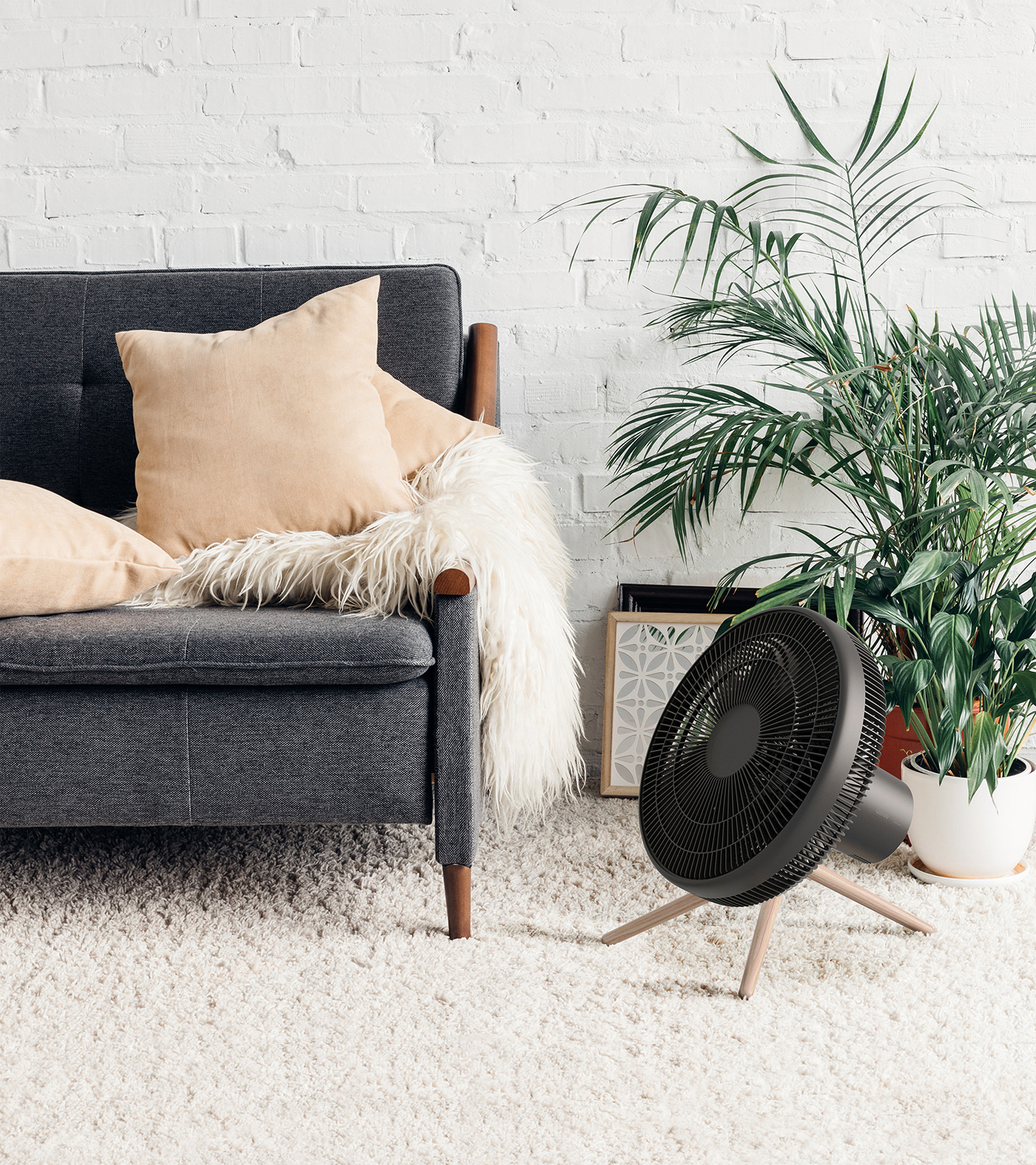 Fan，Economics，guarantee，