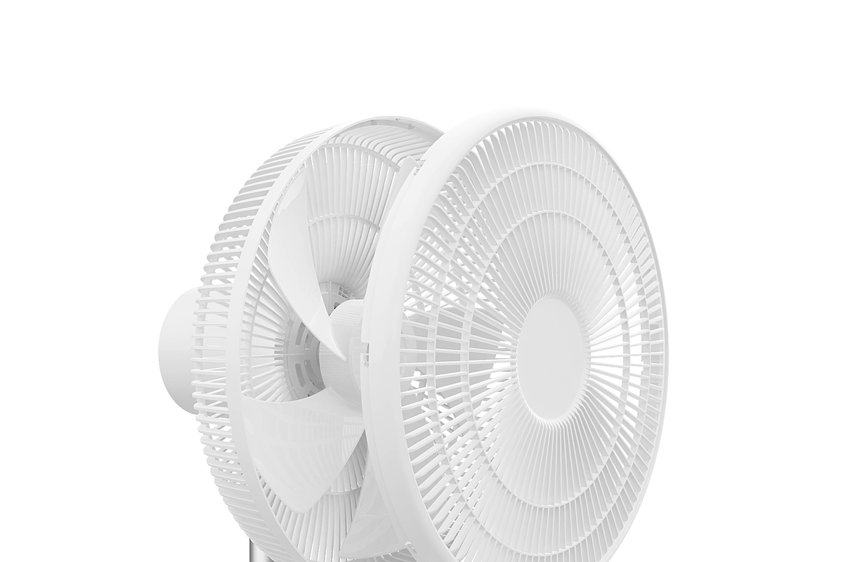 Fan，Economics，guarantee，