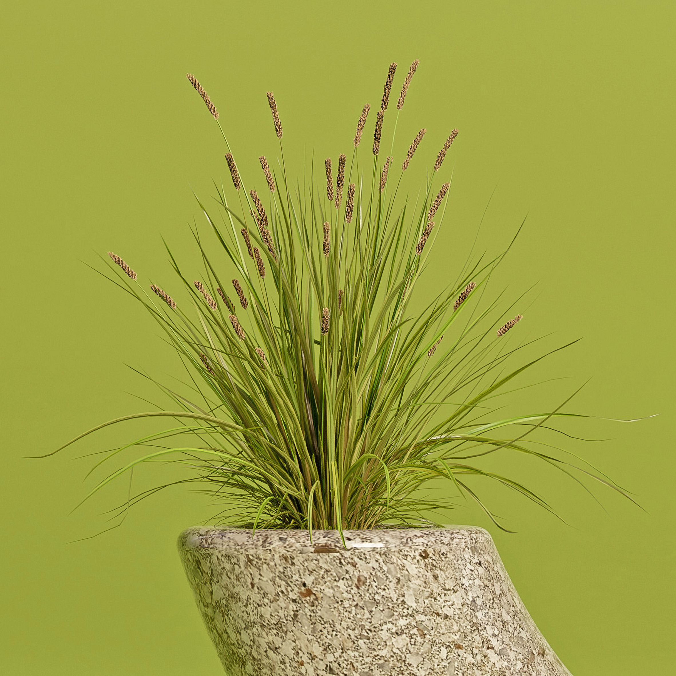 Implant，Outdoor bench，Frame name，