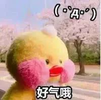 designer，pet phrase，interest，Funny，