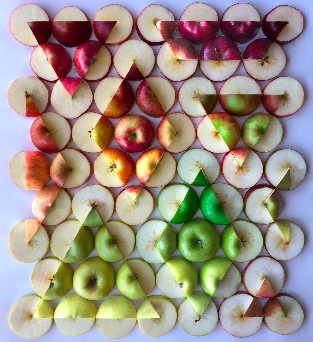 Art，vision，array，cheerful，