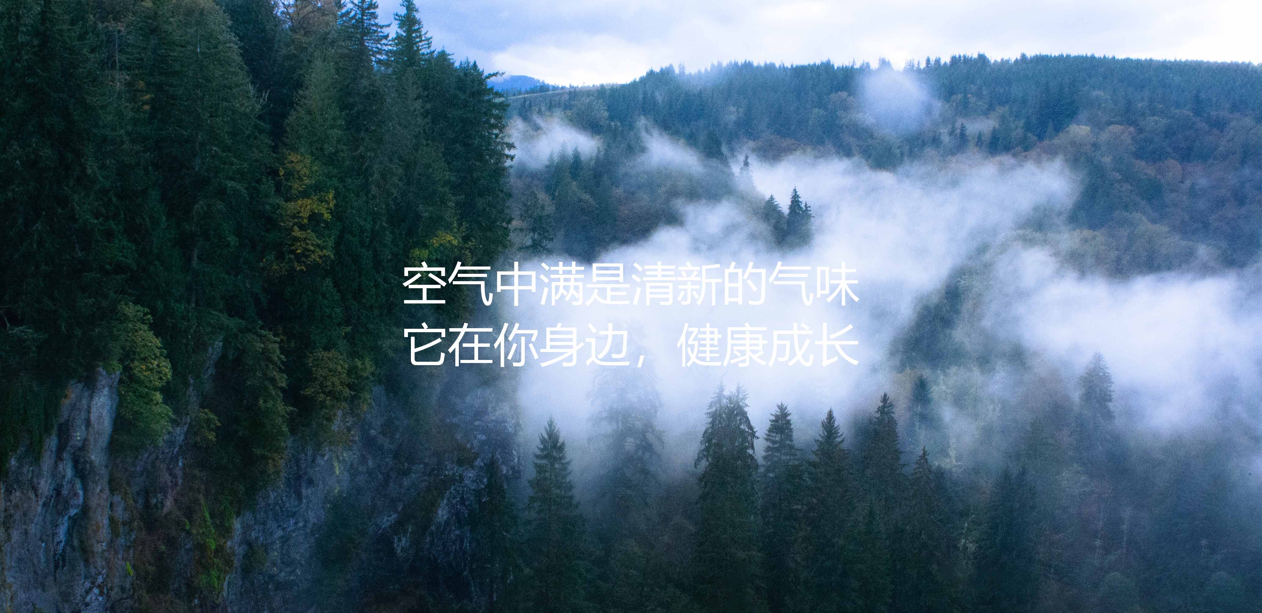 Pet products，Pets，Deodorizer，Odor purifier，