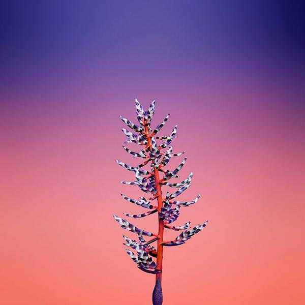 Apple，mobile phone，ios11，function，GM，