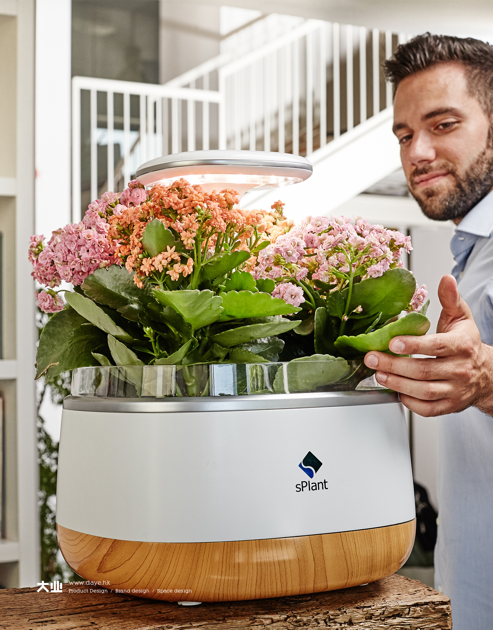 Daye design，industrial design，product design，Intelligent flower box，Cultivated plant，