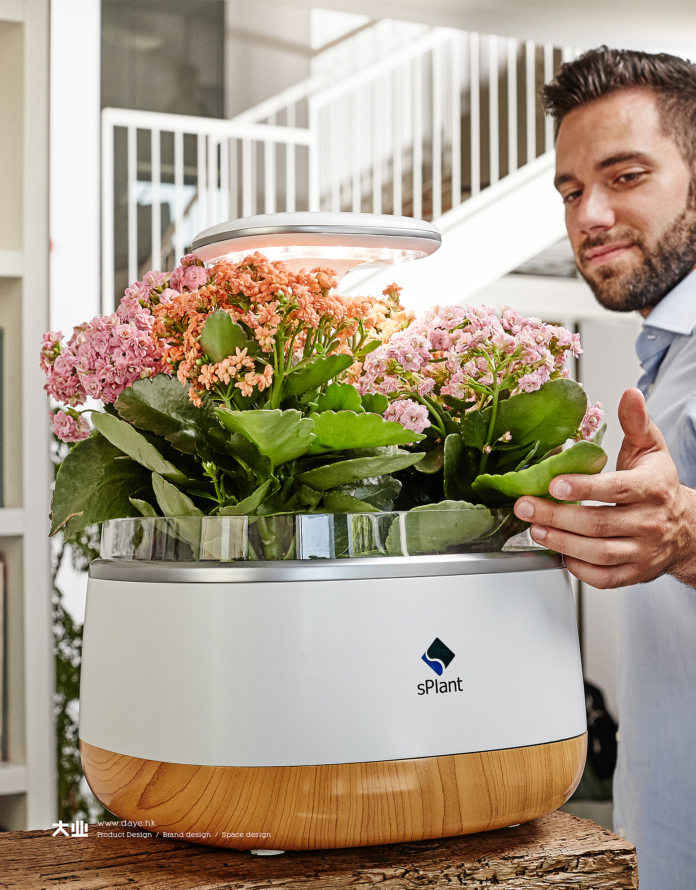 Daye design，industrial design，product design，Intelligent flower box，Cultivated plant，