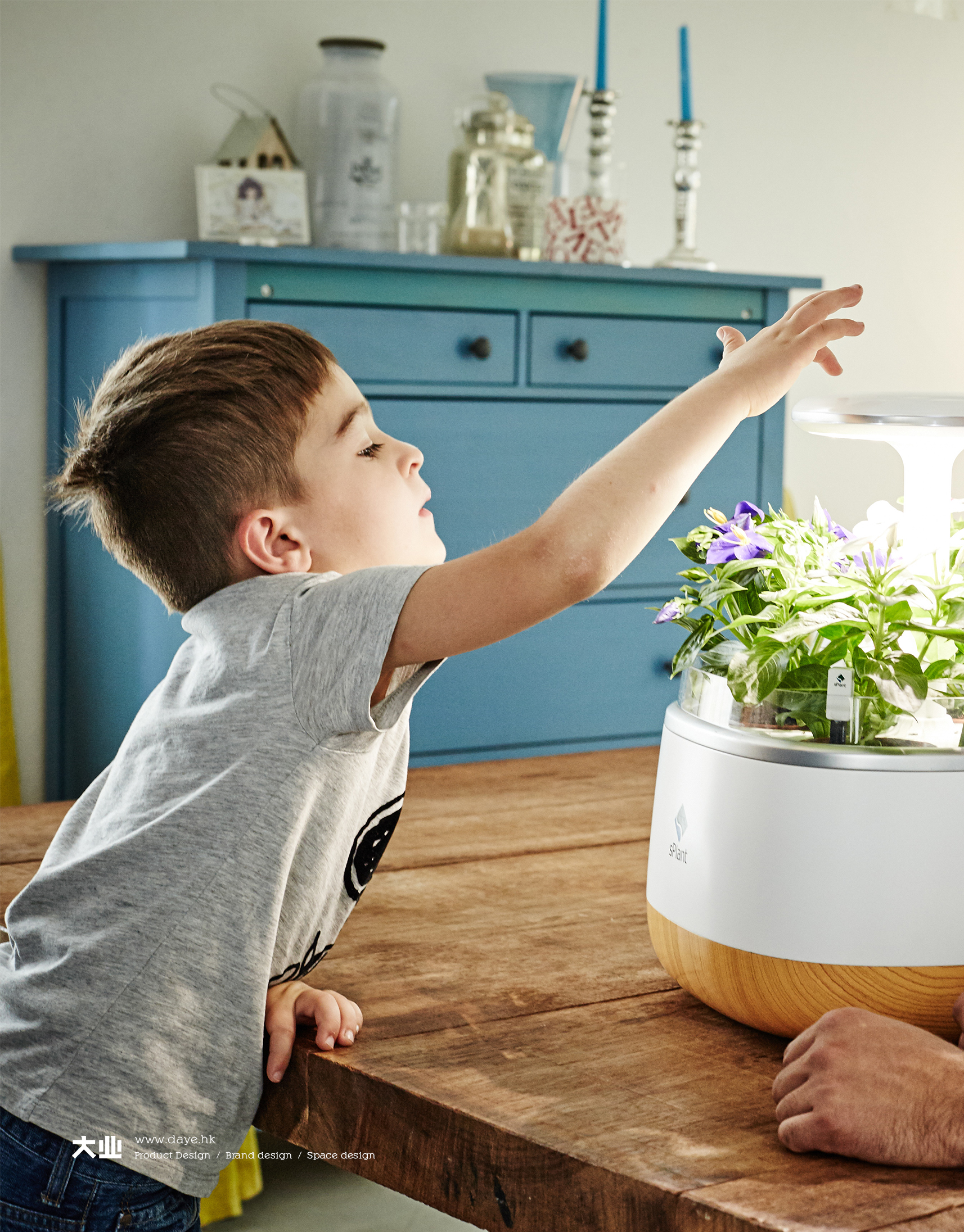 Daye design，industrial design，product design，Intelligent flower box，Cultivated plant，