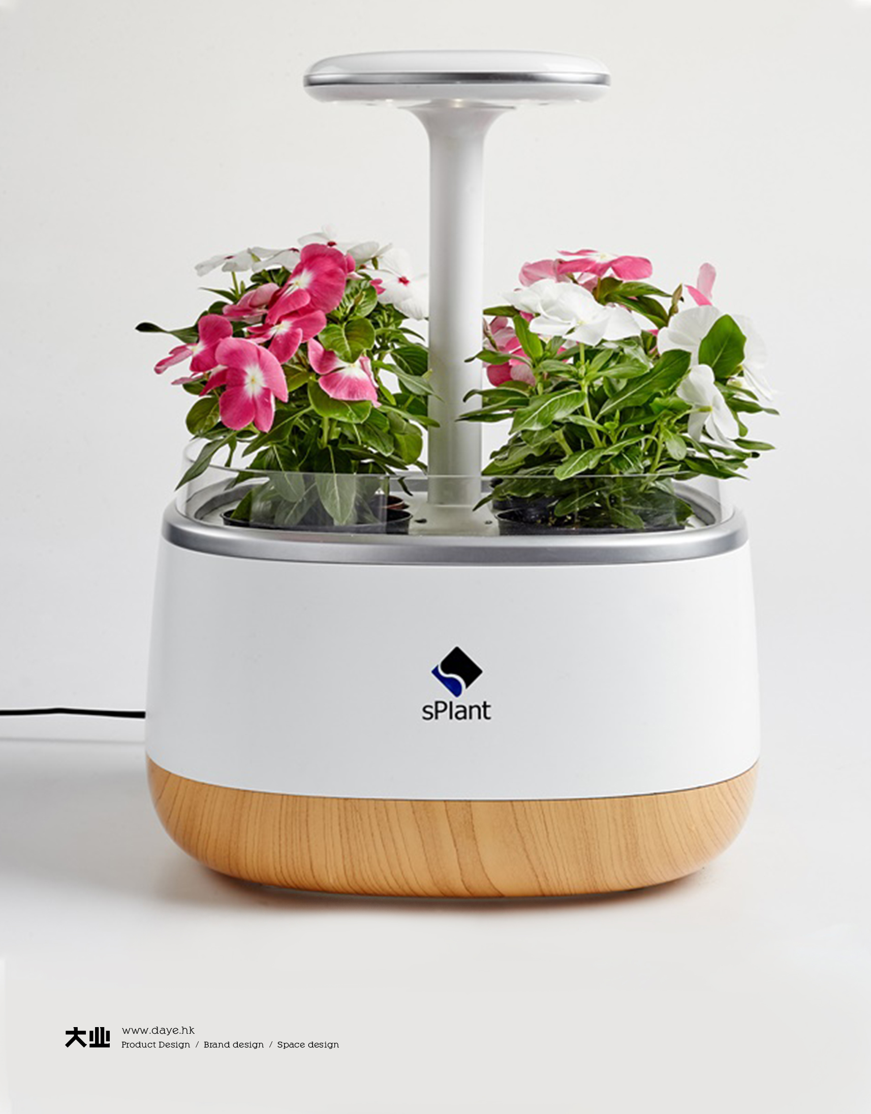 Daye design，industrial design，product design，Intelligent flower box，Cultivated plant，