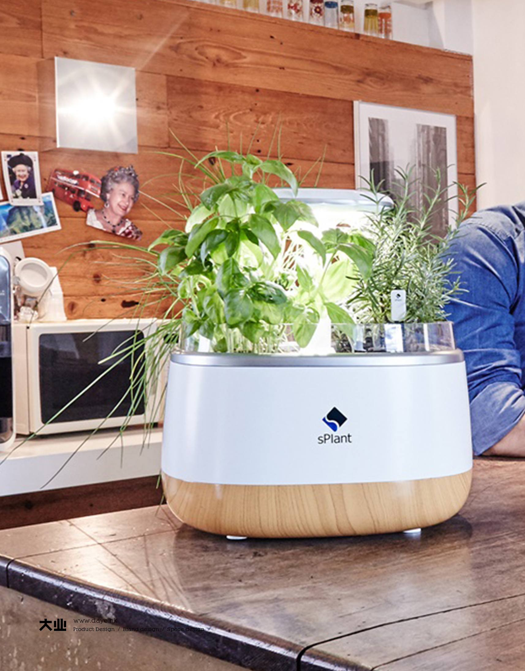 Daye design，industrial design，product design，Intelligent flower box，Cultivated plant，