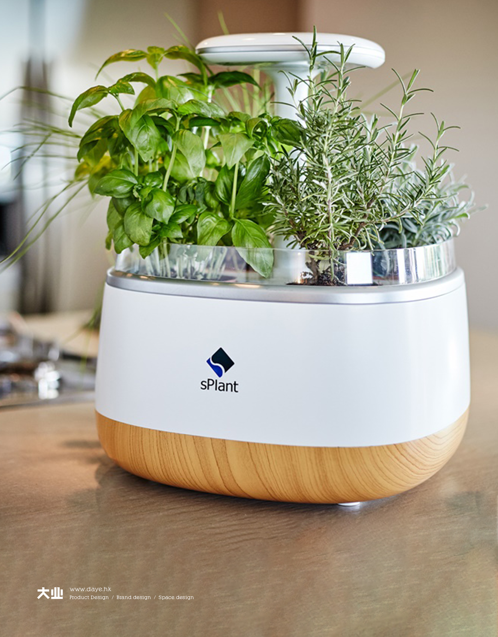 Daye design，industrial design，product design，Intelligent flower box，Cultivated plant，