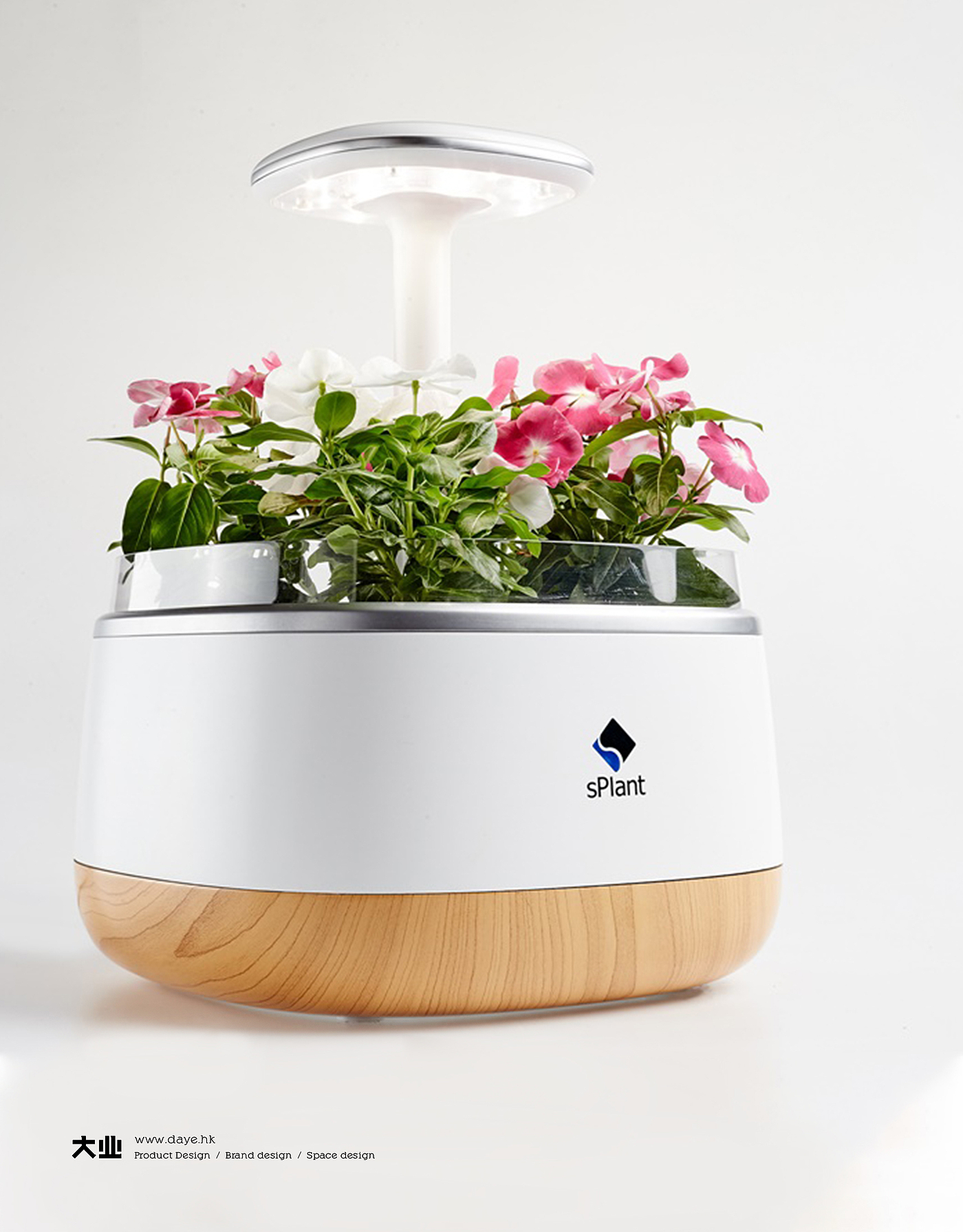 Daye design，industrial design，product design，Intelligent flower box，Cultivated plant，