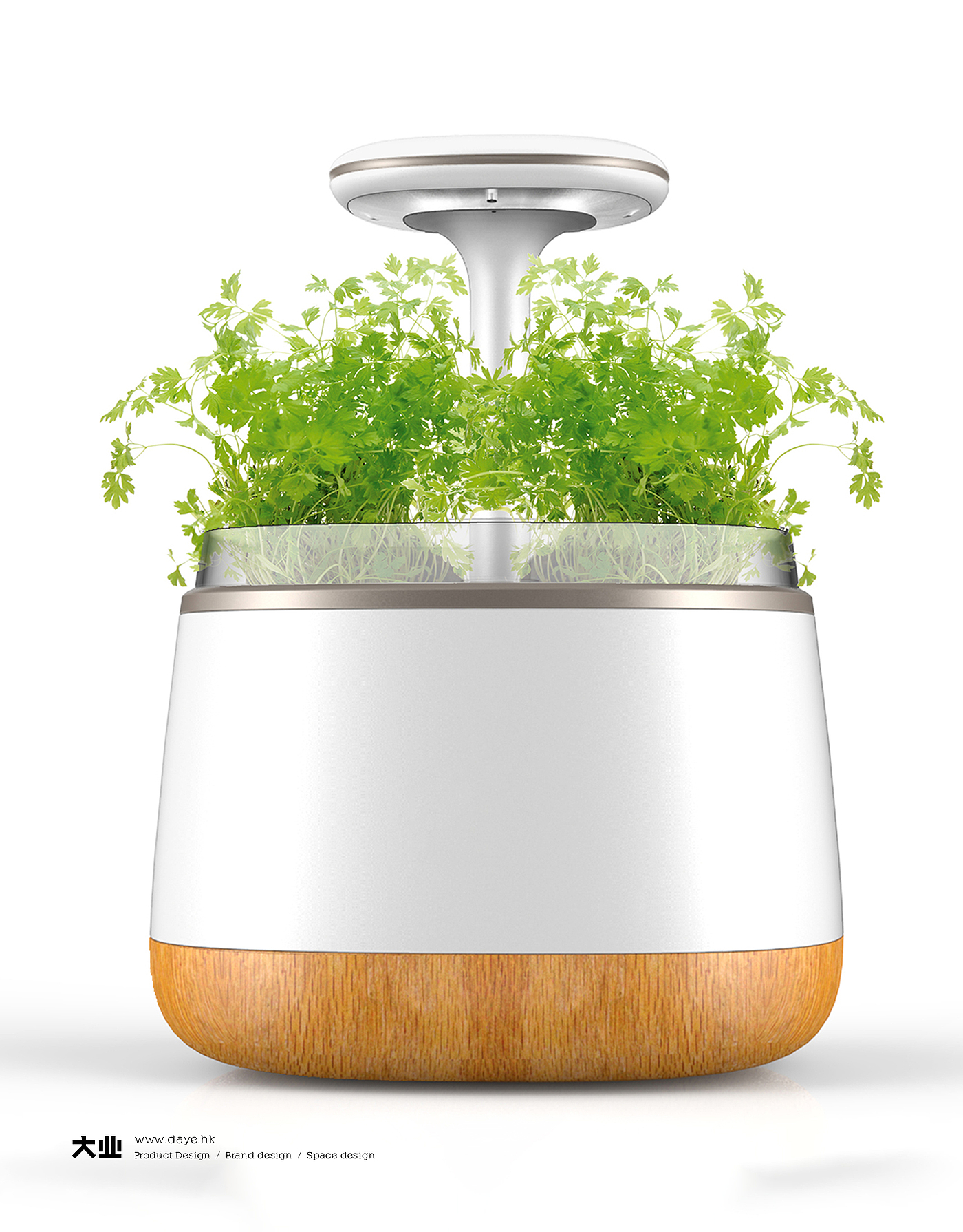 Daye design，industrial design，product design，Intelligent flower box，Cultivated plant，