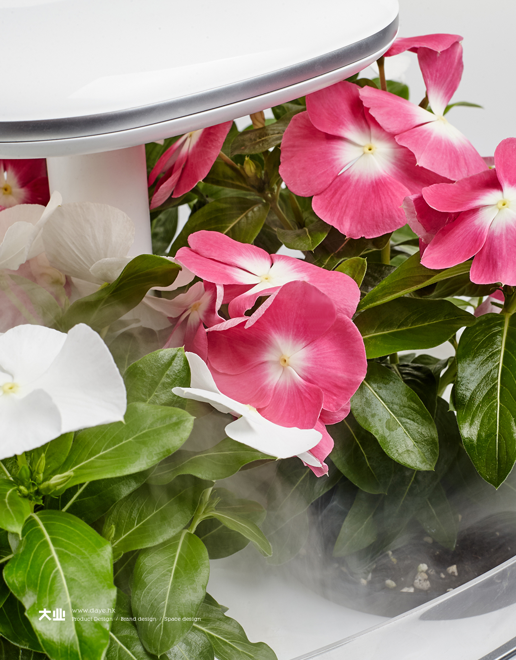 Daye design，industrial design，product design，Intelligent flower box，Cultivated plant，