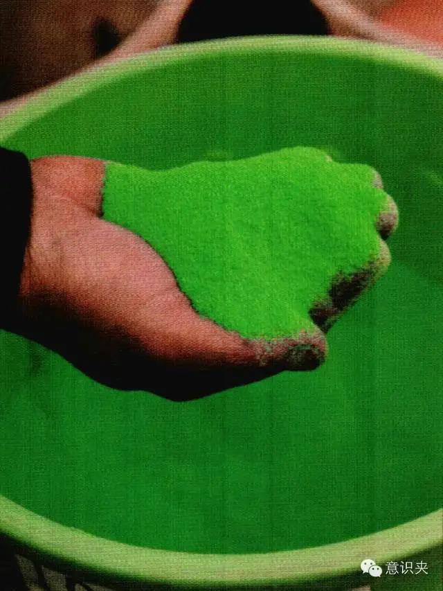 popularization of science，Plastic，workmanship，Design，Industry，furniture，Toys，