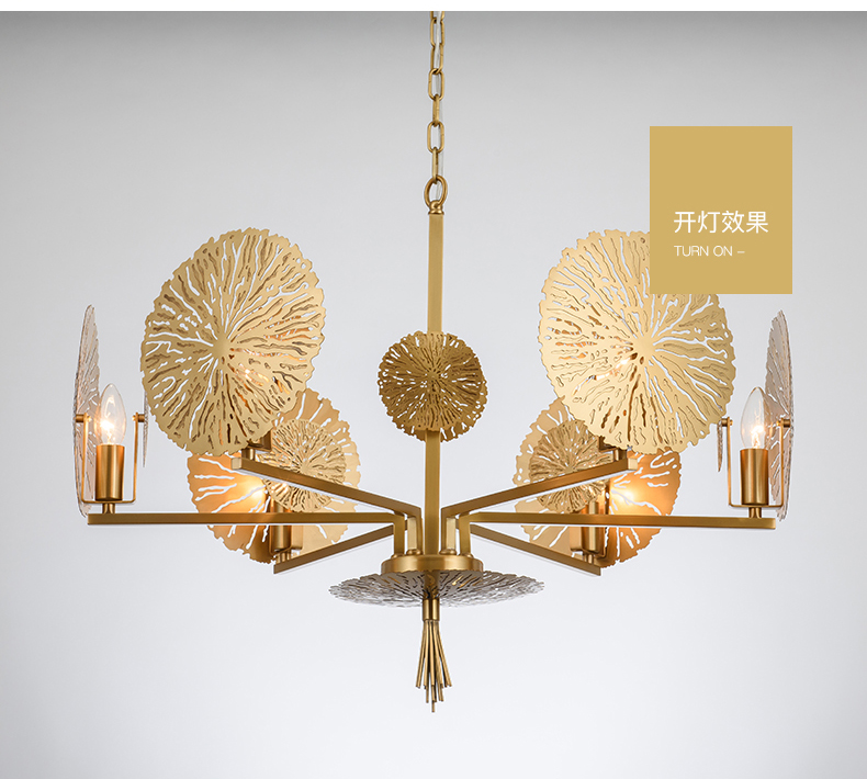 Home Furnishing，lamps and lanterns，