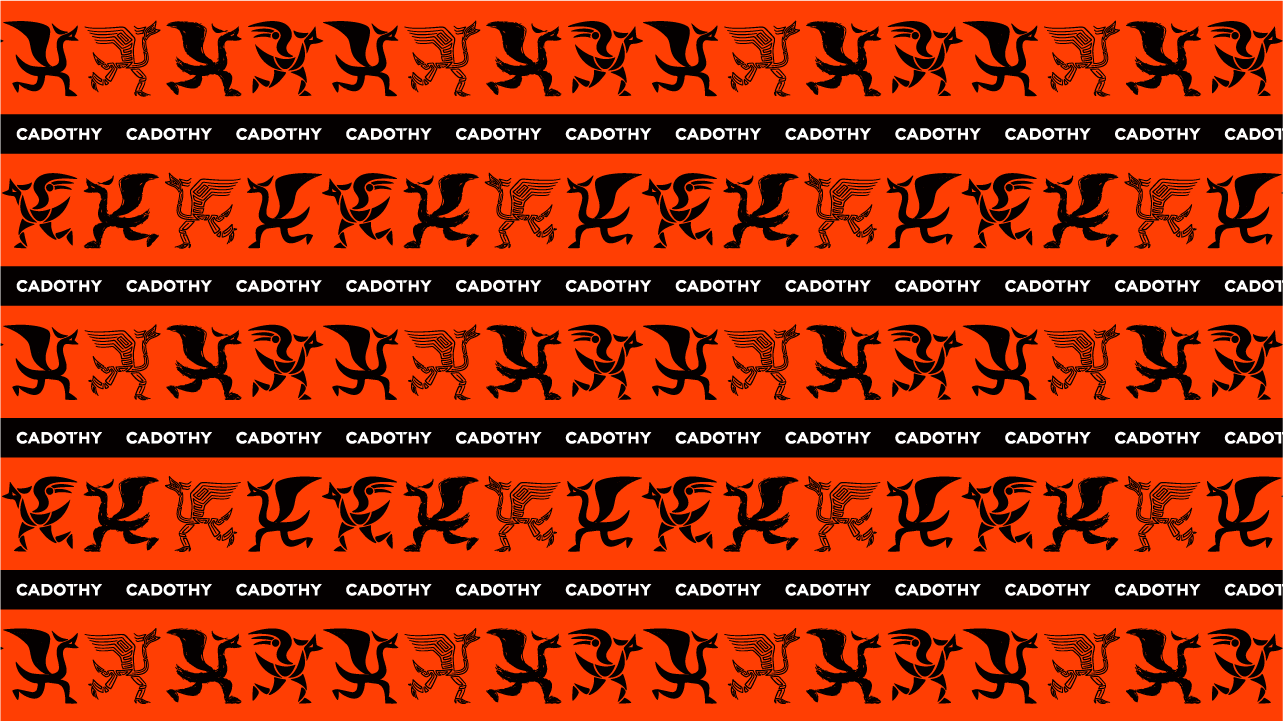 Cardoshi，brand，Whole case，packing，logo，live broadcast，product，vis，