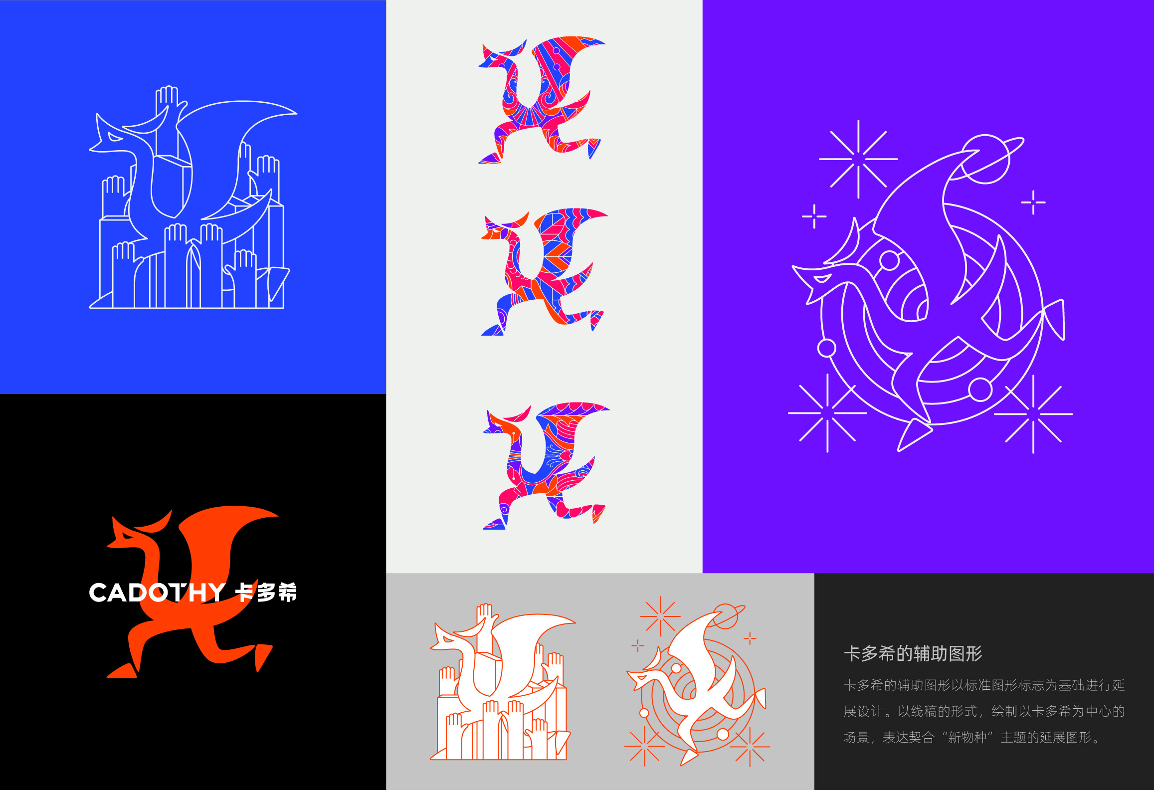 Cardoshi，brand，Whole case，packing，logo，live broadcast，product，vis，