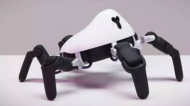 robot，intelligence，terrain，spider，Programmable，