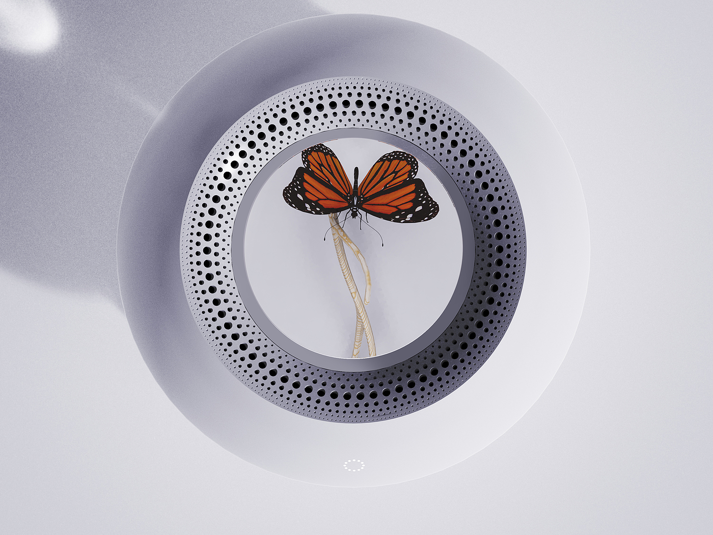 Insect box，Moving Sen，Animal Crossing，loaf on a job，Night light，Evil taste，