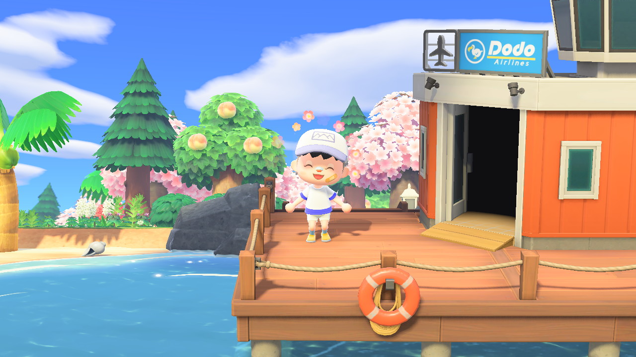 Insect box，Moving Sen，Animal Crossing，loaf on a job，Night light，Evil taste，