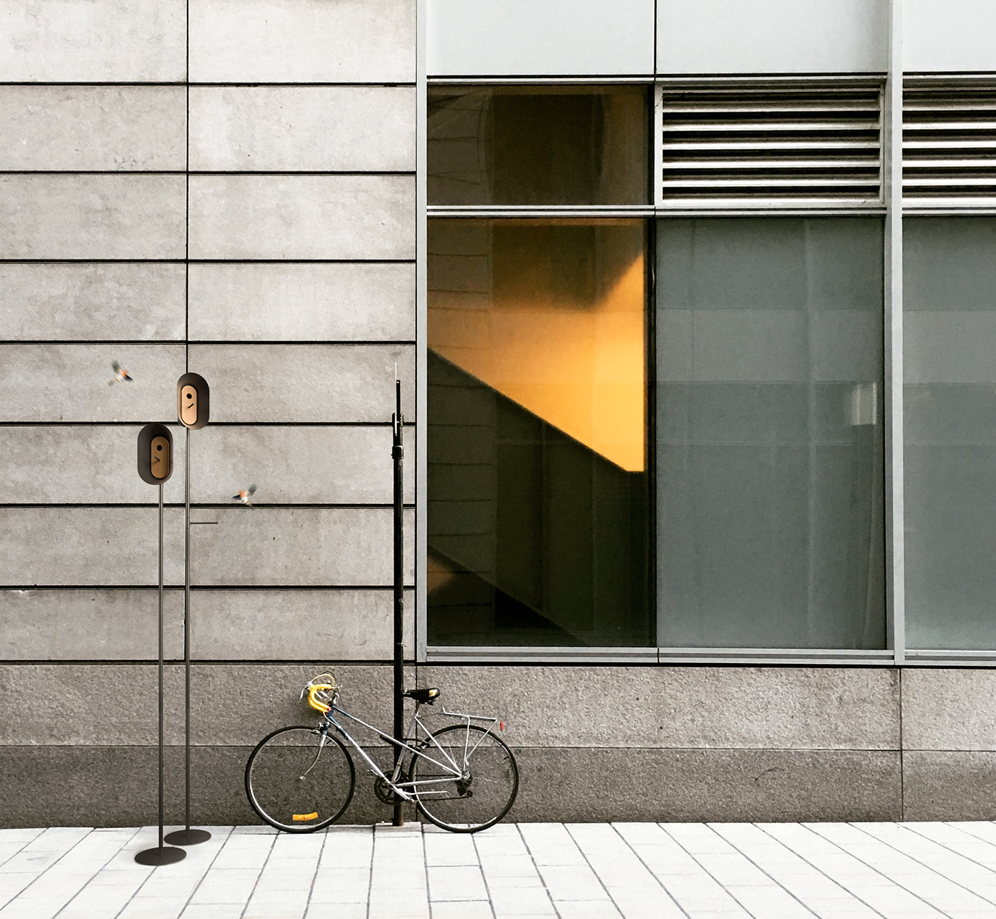 Bird's nest，city，haven，
