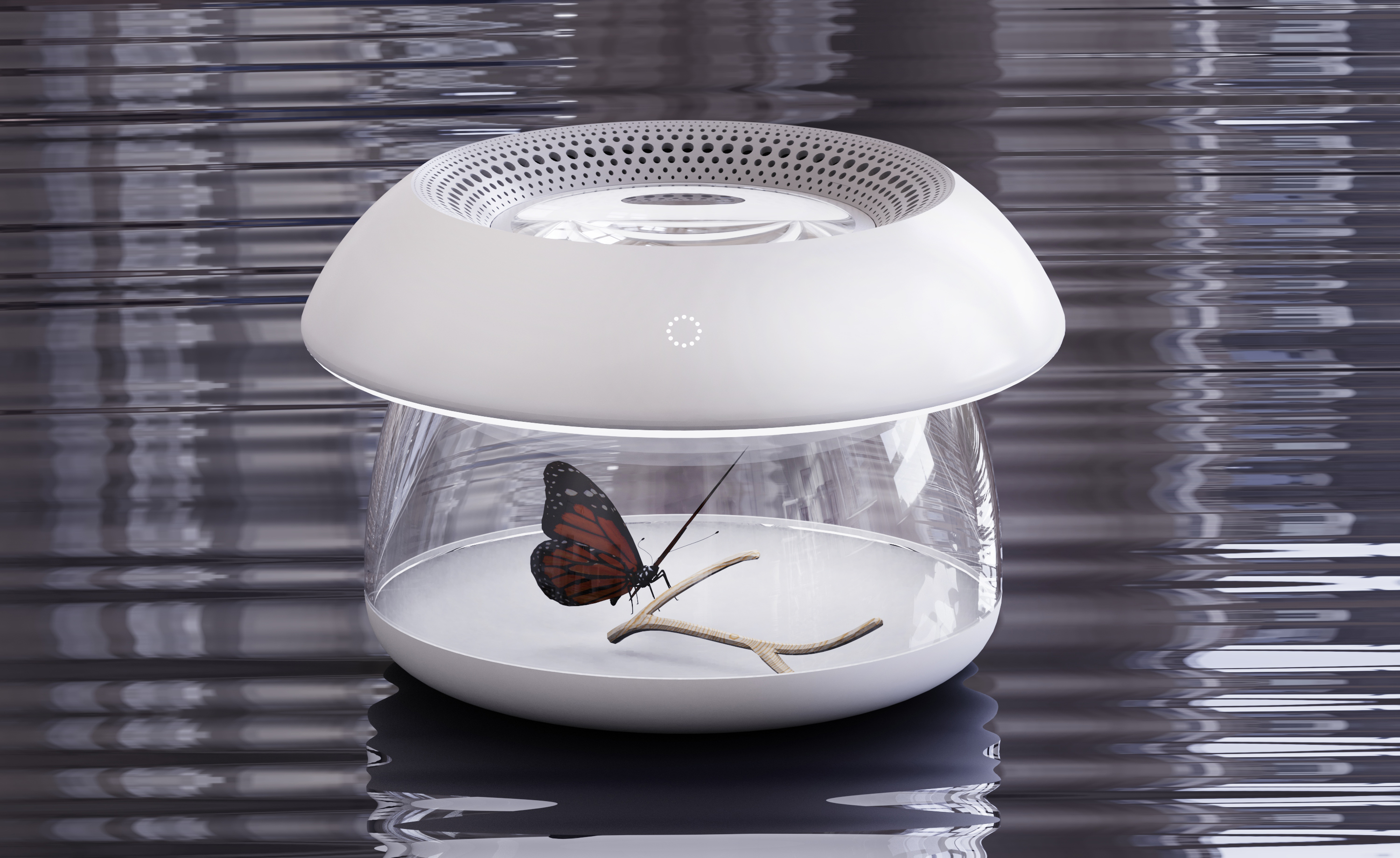 Insect box，Moving Sen，Animal Crossing，loaf on a job，Night light，Evil taste，