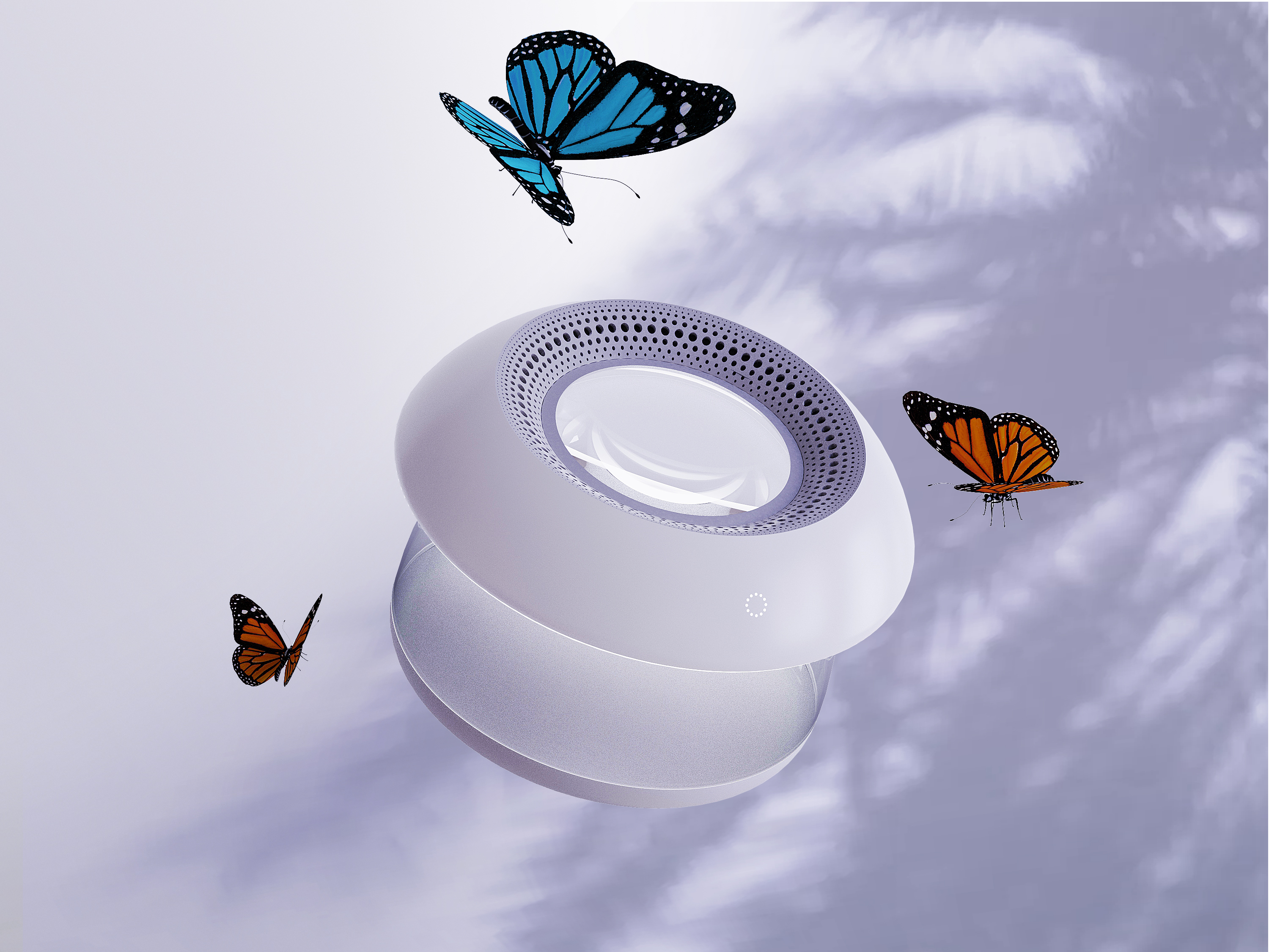 Insect box，Moving Sen，Animal Crossing，loaf on a job，Night light，Evil taste，