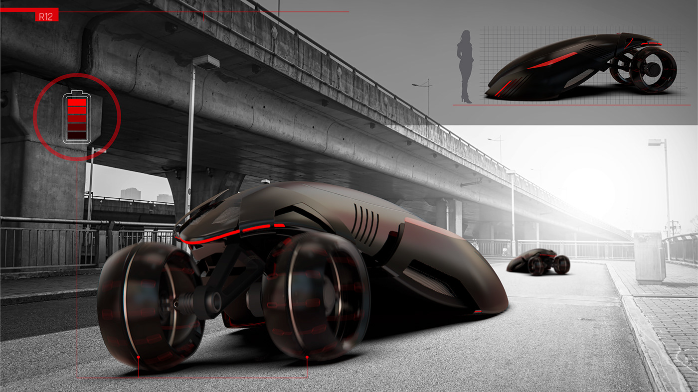 R12，Santiago Mendoza，environment protection，