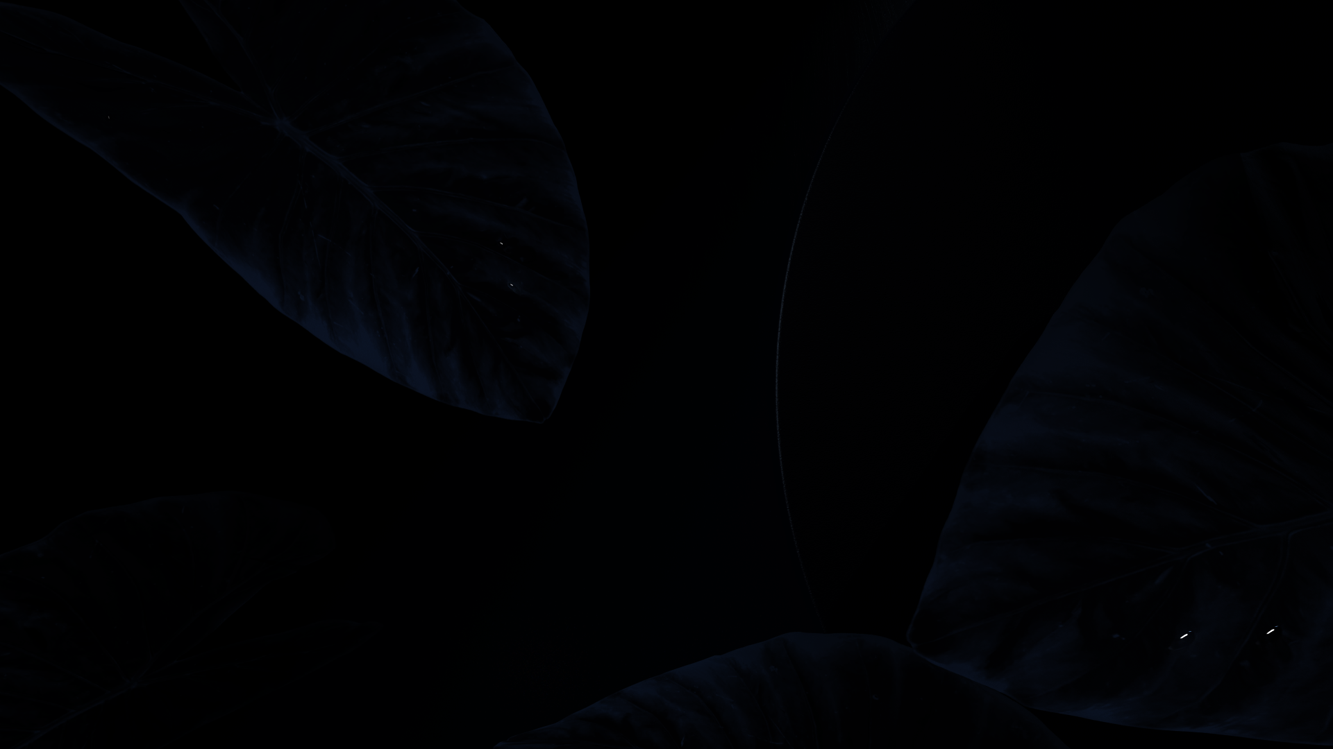 Electric toothbrush，packing，Gehu Electronics，High end packaging，