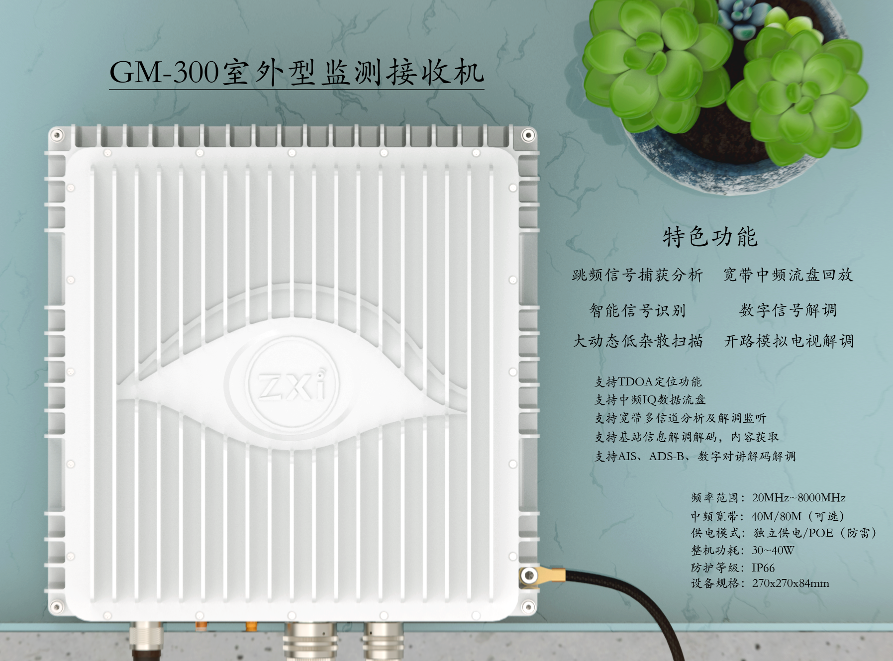 MARK，Networking，