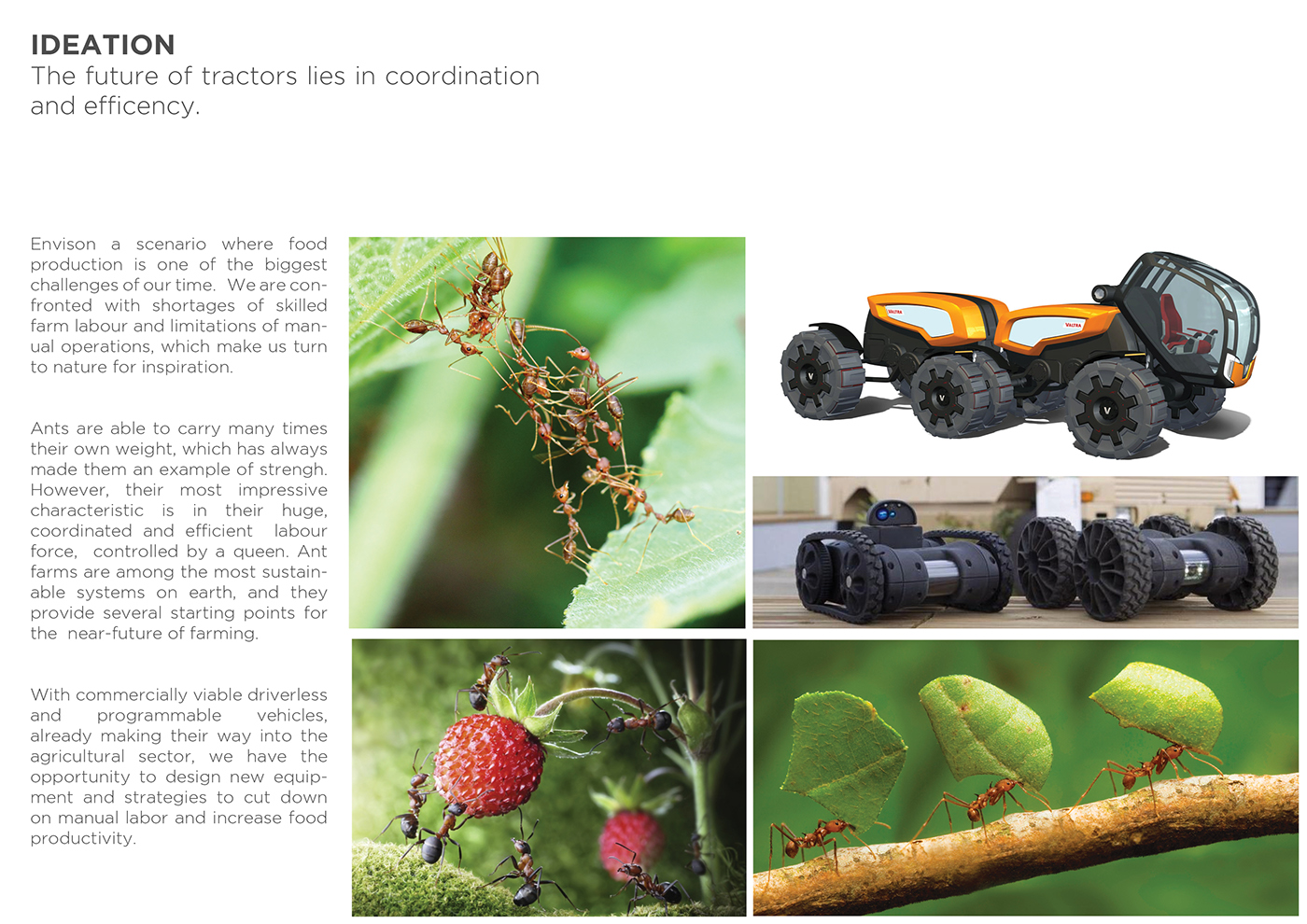 Farming，Ants，Software，