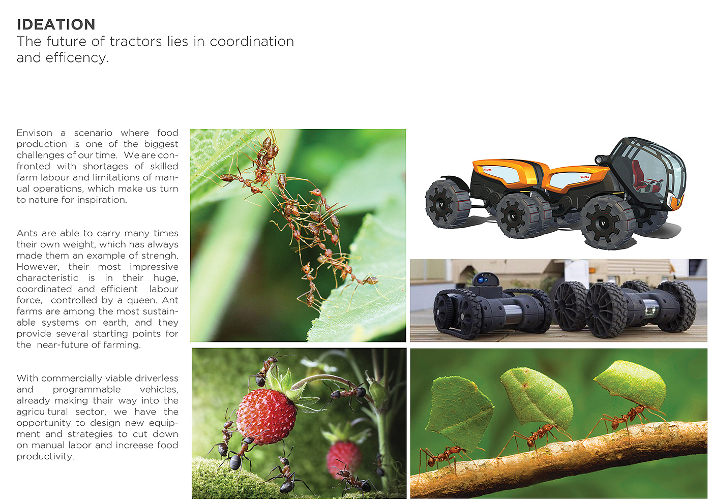 Farming，Ants，Software，