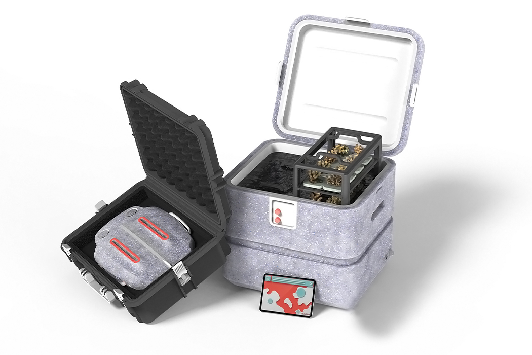 UAV，plant，Coral，