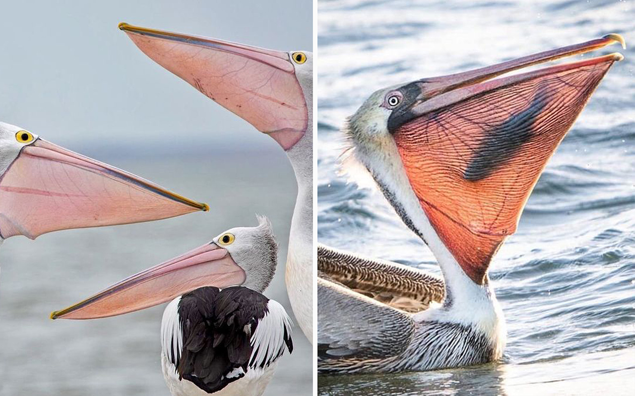 kettle，Housewear & Furnishings，