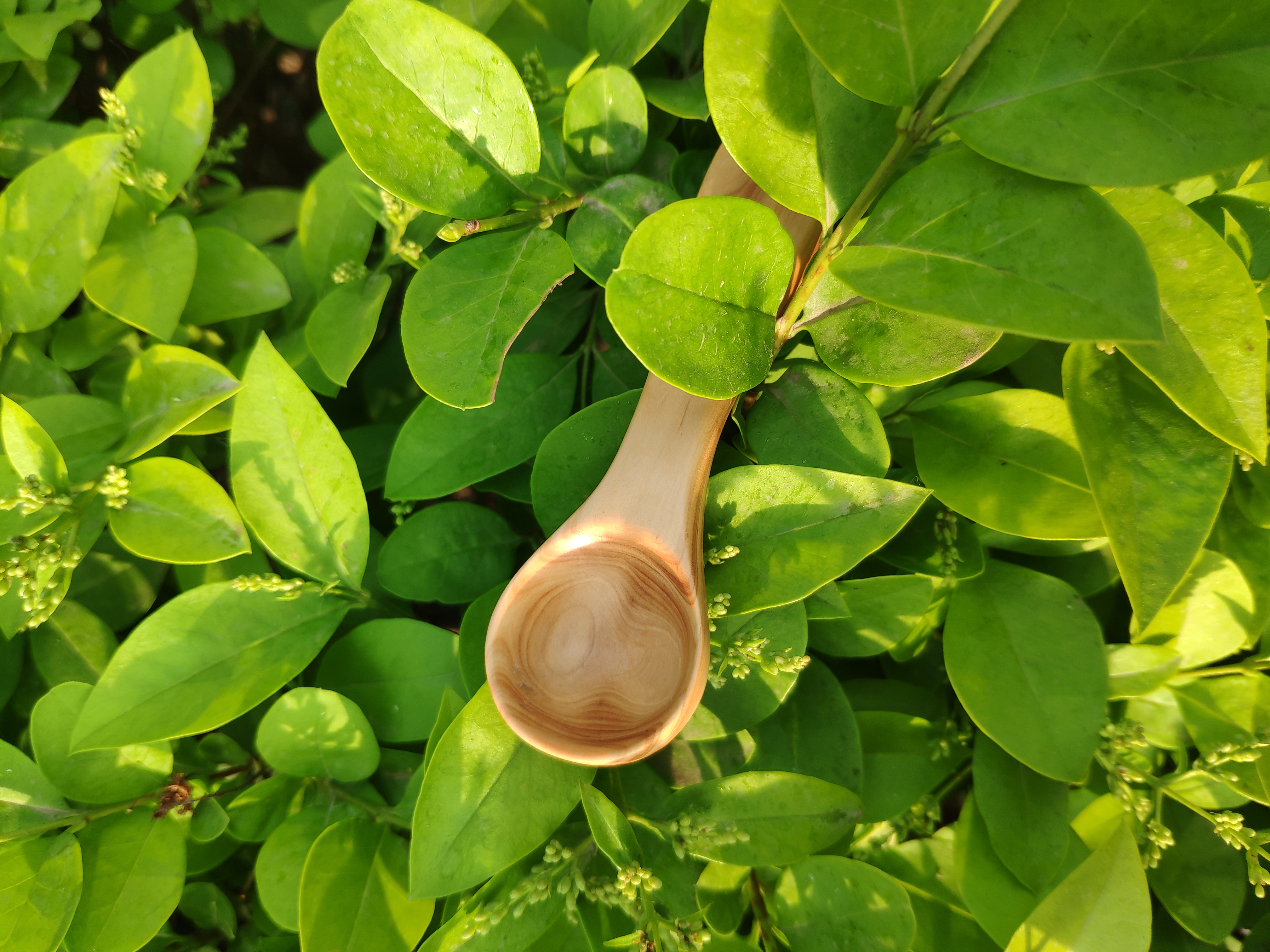 Handmade，tableware，wooden ，