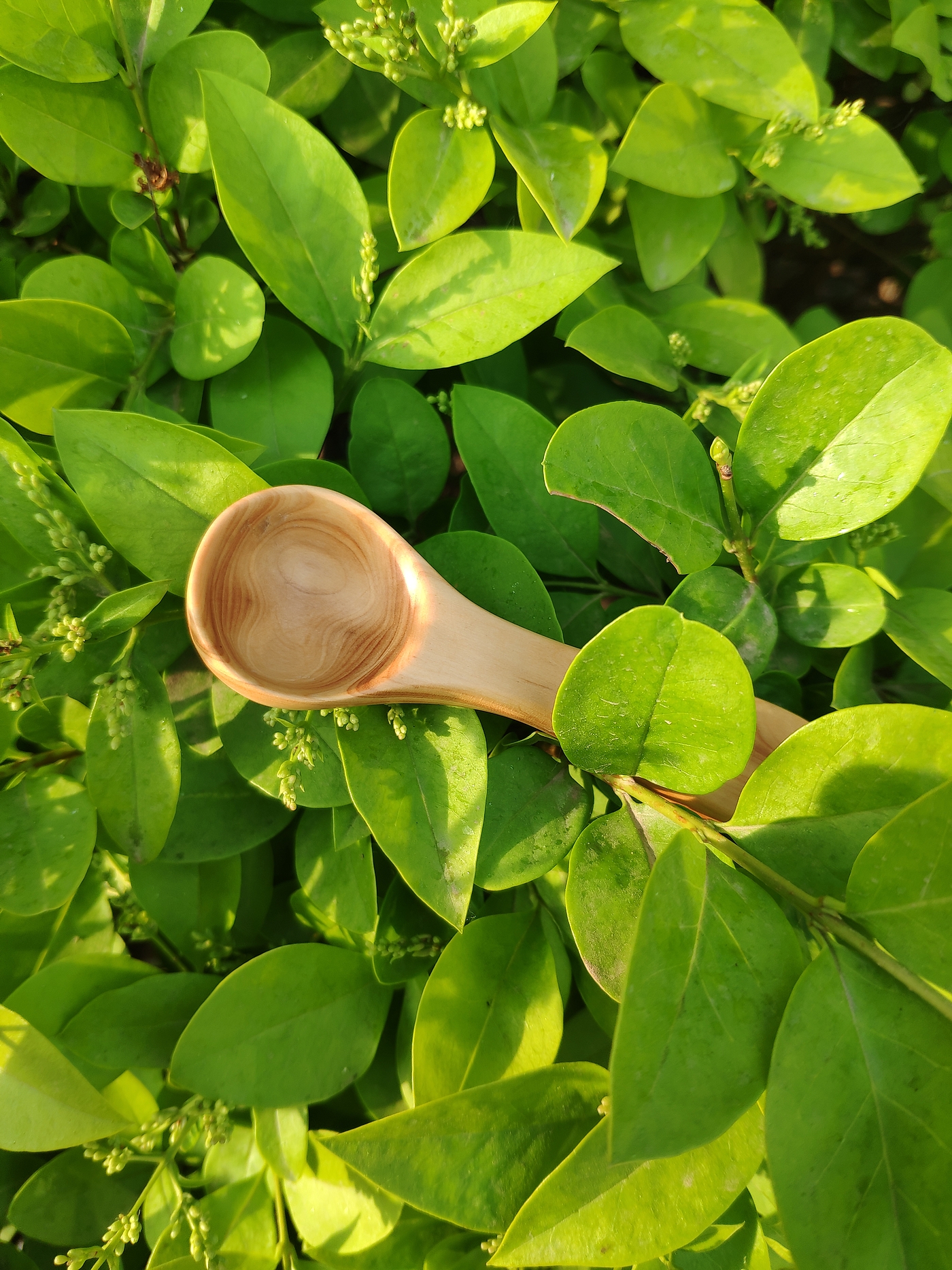 Handmade，tableware，wooden ，