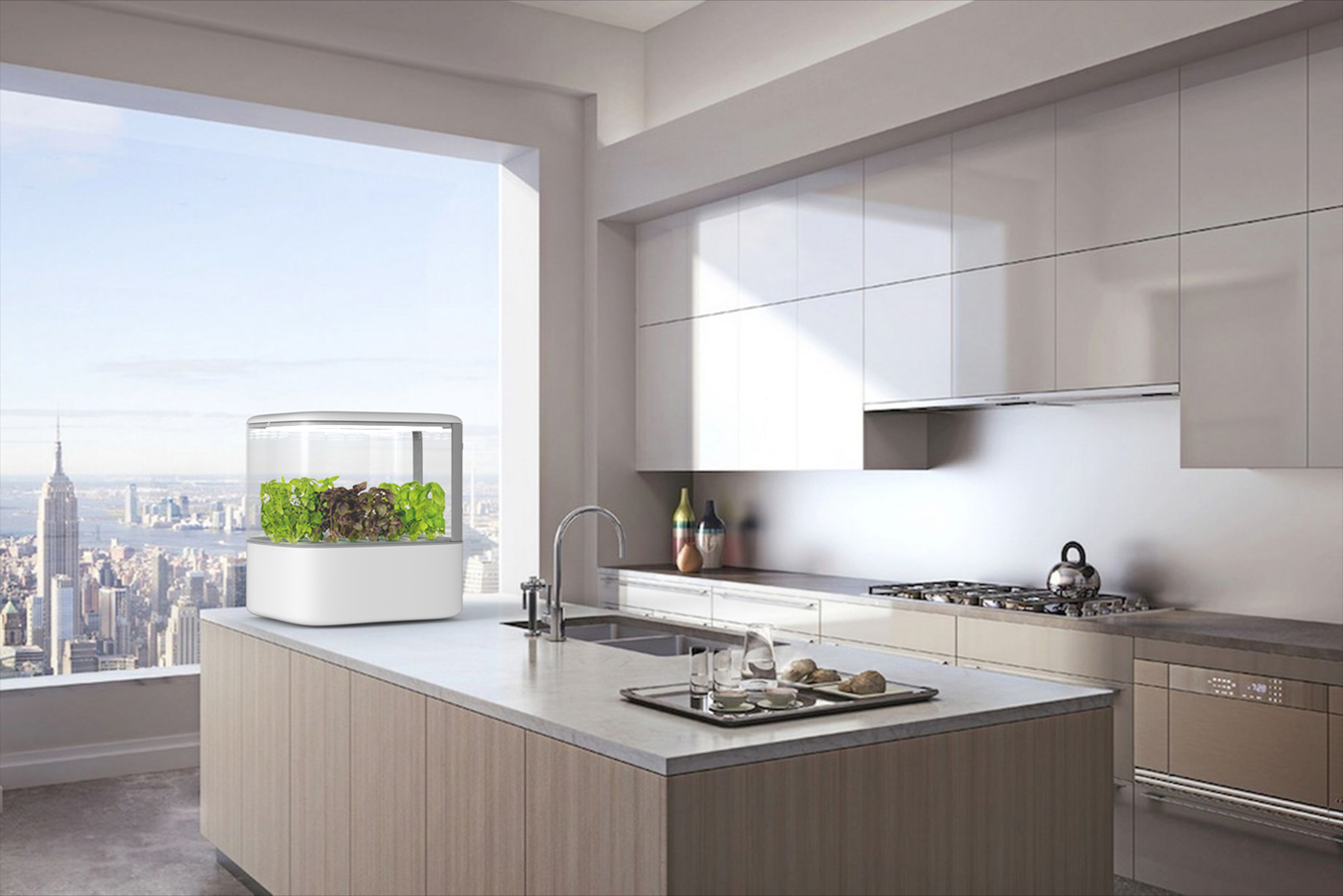 intelligence，Vegetable planting，system，