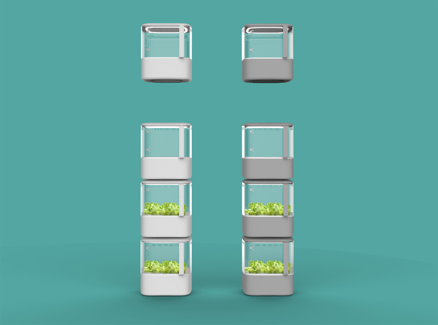 intelligence，Vegetable planting，system，