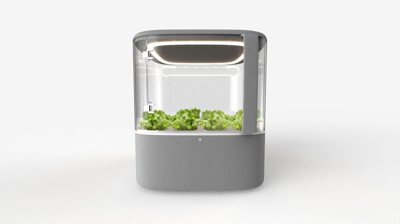 intelligence，Vegetable planting，system，