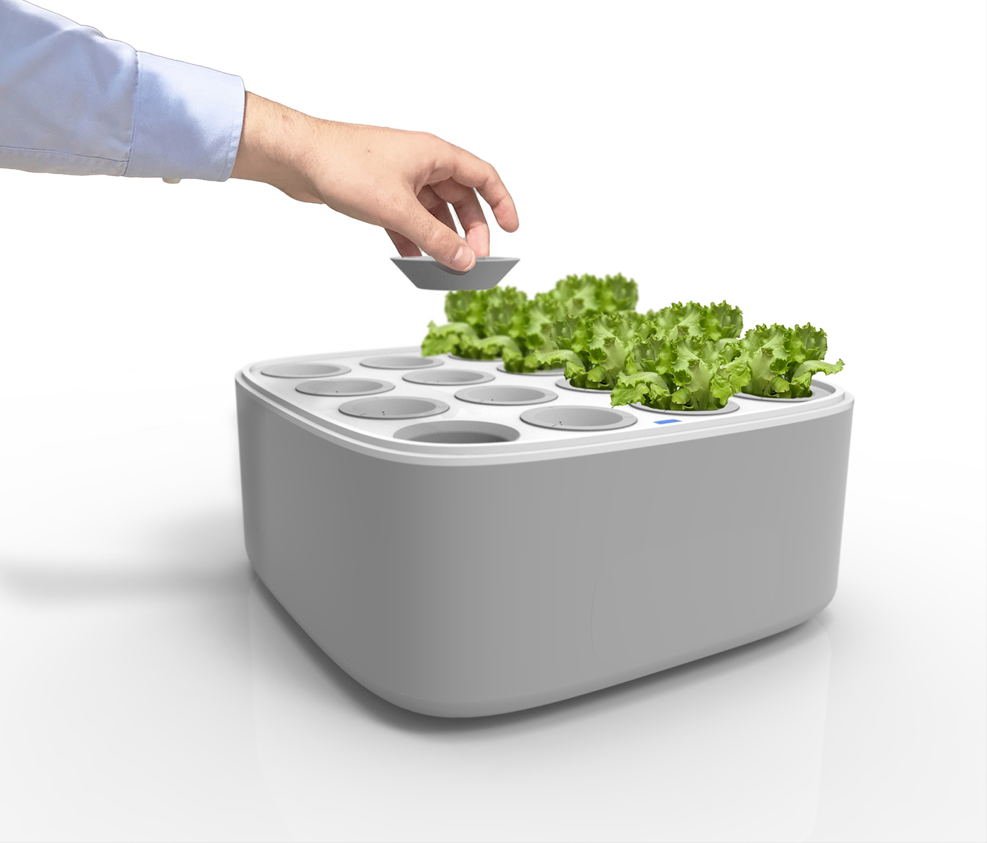 intelligence，Vegetable planting，system，