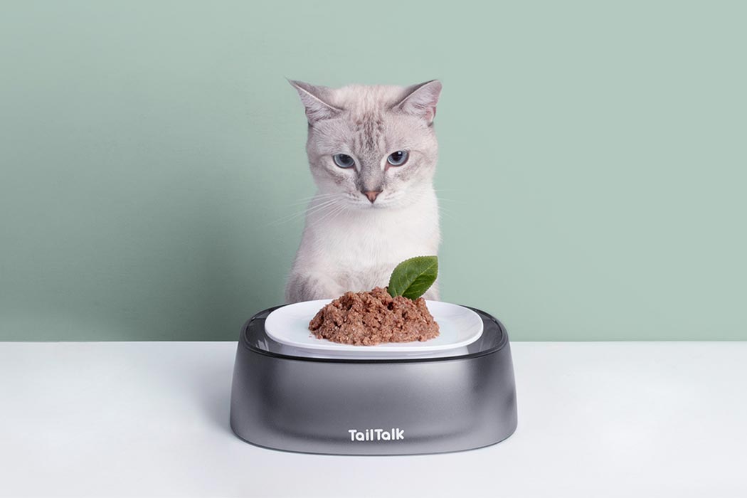 ## The Allure of the Cat Butter Dish: A Purrfect Addition to Your Kitchen