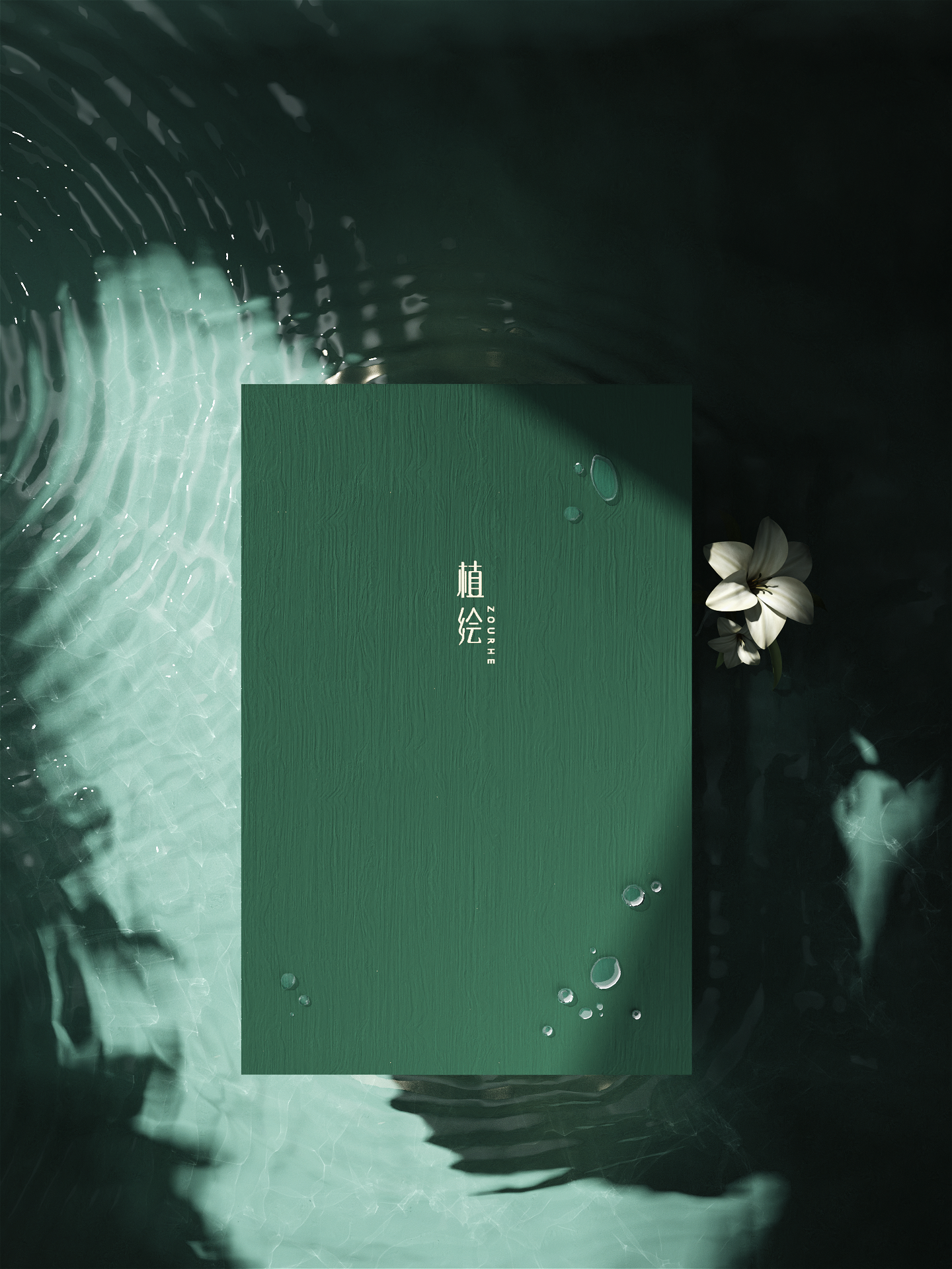 Cosmetics，Mud film，Cells，Essence，water，