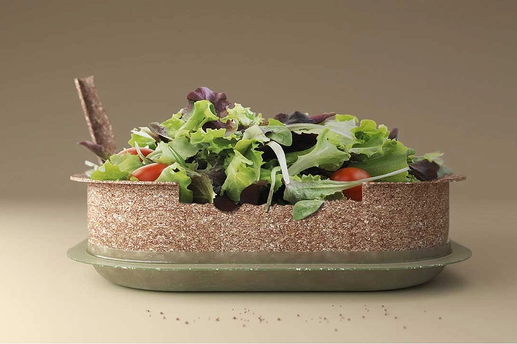 Takeout box，Lunch box，environment protection，Forest & Whale，
