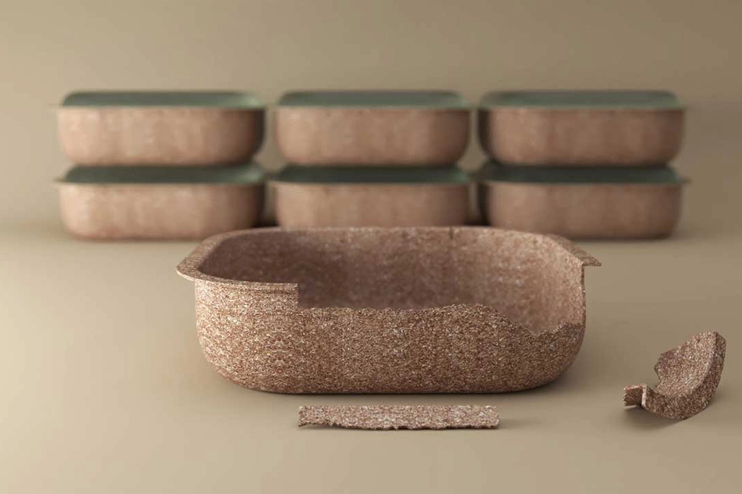 Takeout box，Lunch box，environment protection，Forest & Whale，