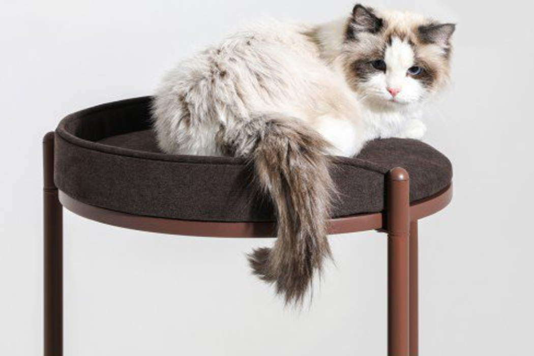 Cat climbing frame，Minimalism，wooden ，Hardwood design，brown，
