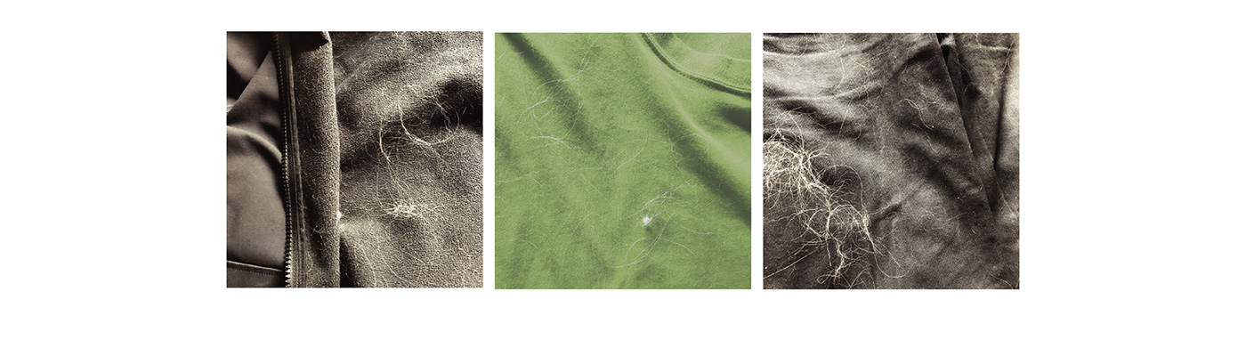 Friday，miniature，Vacuum cleaner，Small，Pet Supplies & Pet，