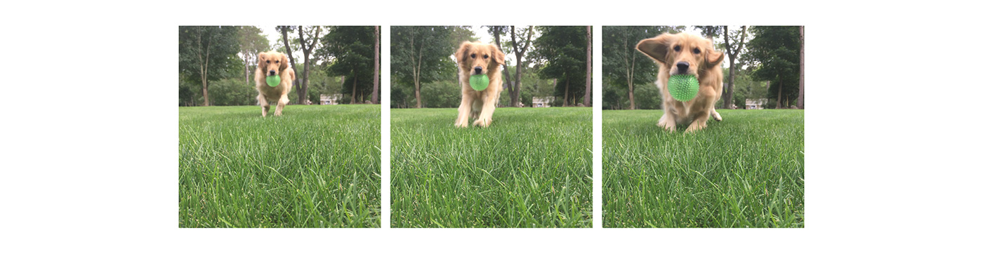 Friday，miniature，Vacuum cleaner，Small，Pet Supplies & Pet，