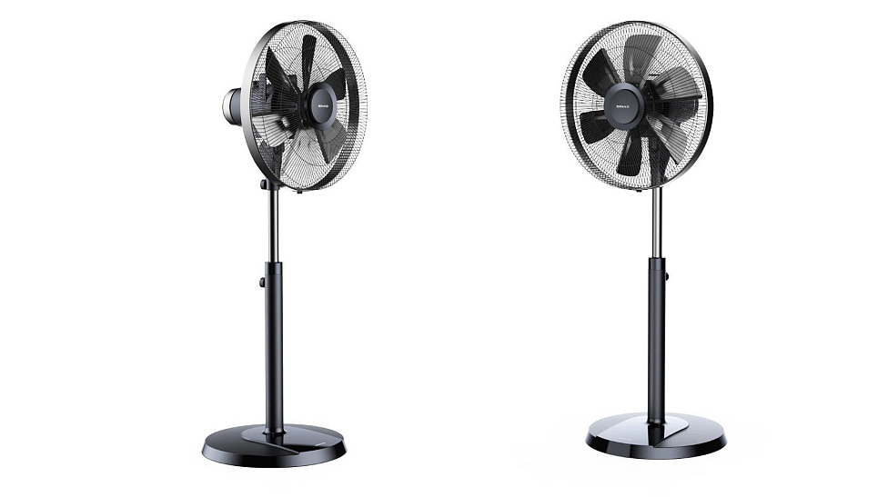 Fan，