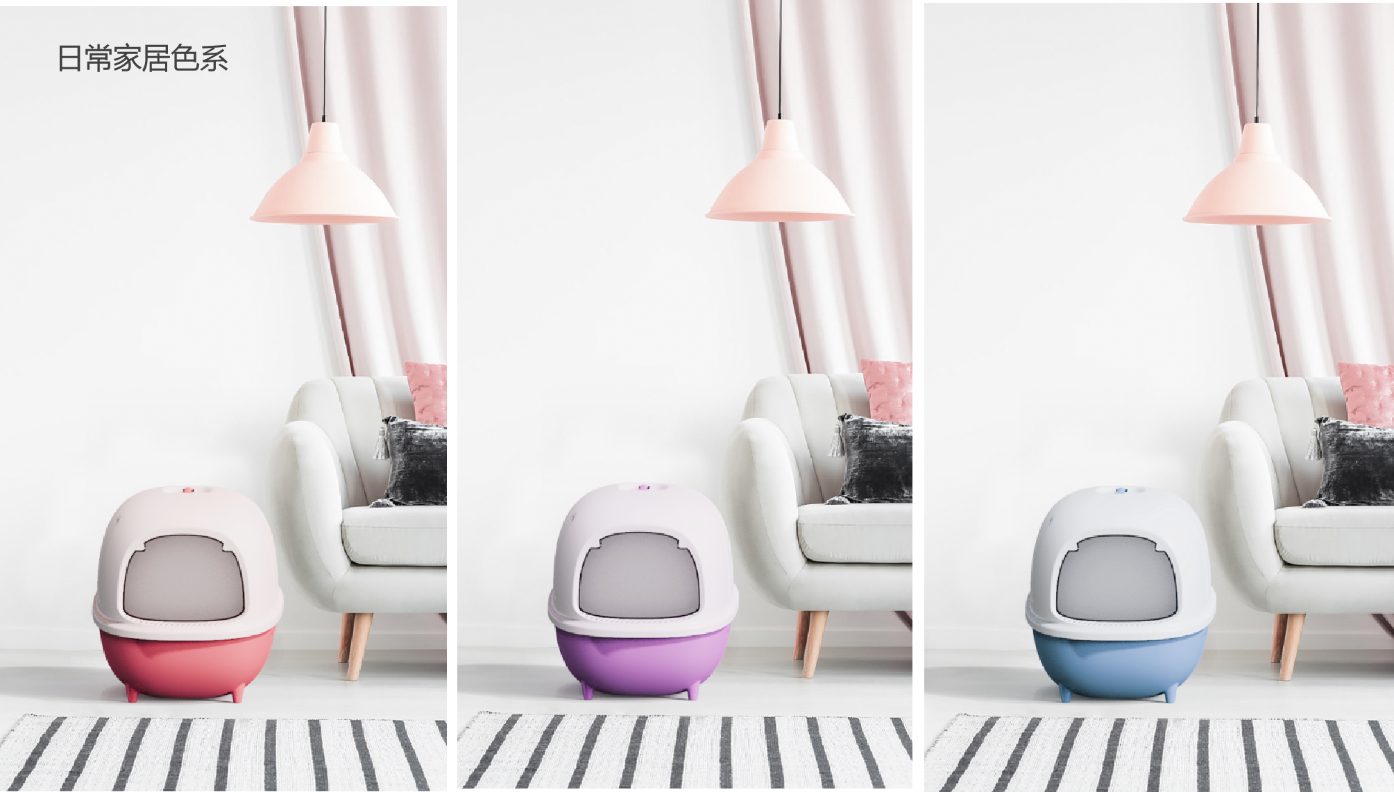 Product design Pet Supplies & Pet，