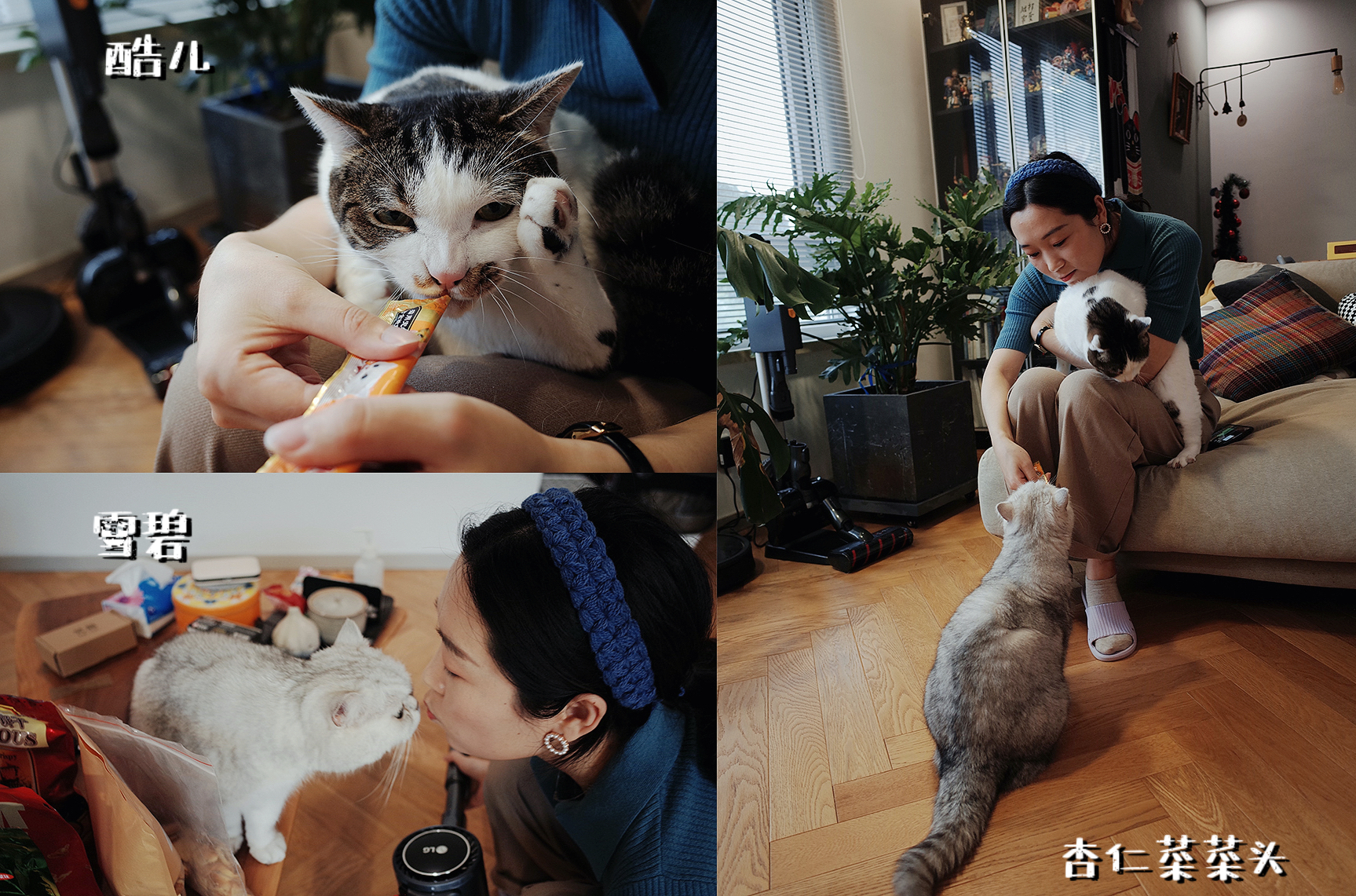 New product evaluation of LG a9k vacuum cleaner，Furniture designer almond vegetable head，