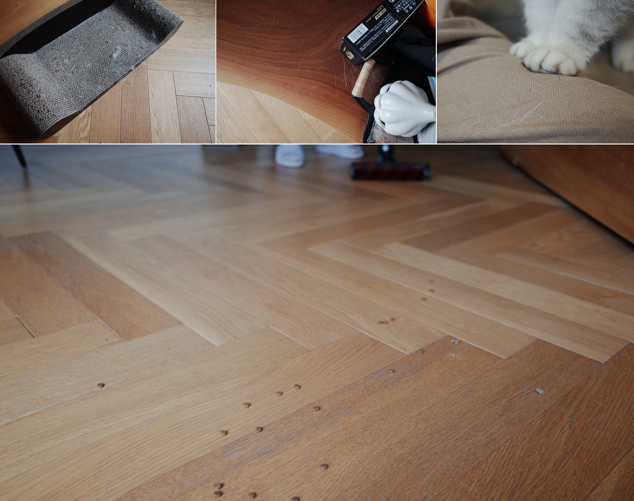 New product evaluation of LG a9k vacuum cleaner，Furniture designer almond vegetable head，